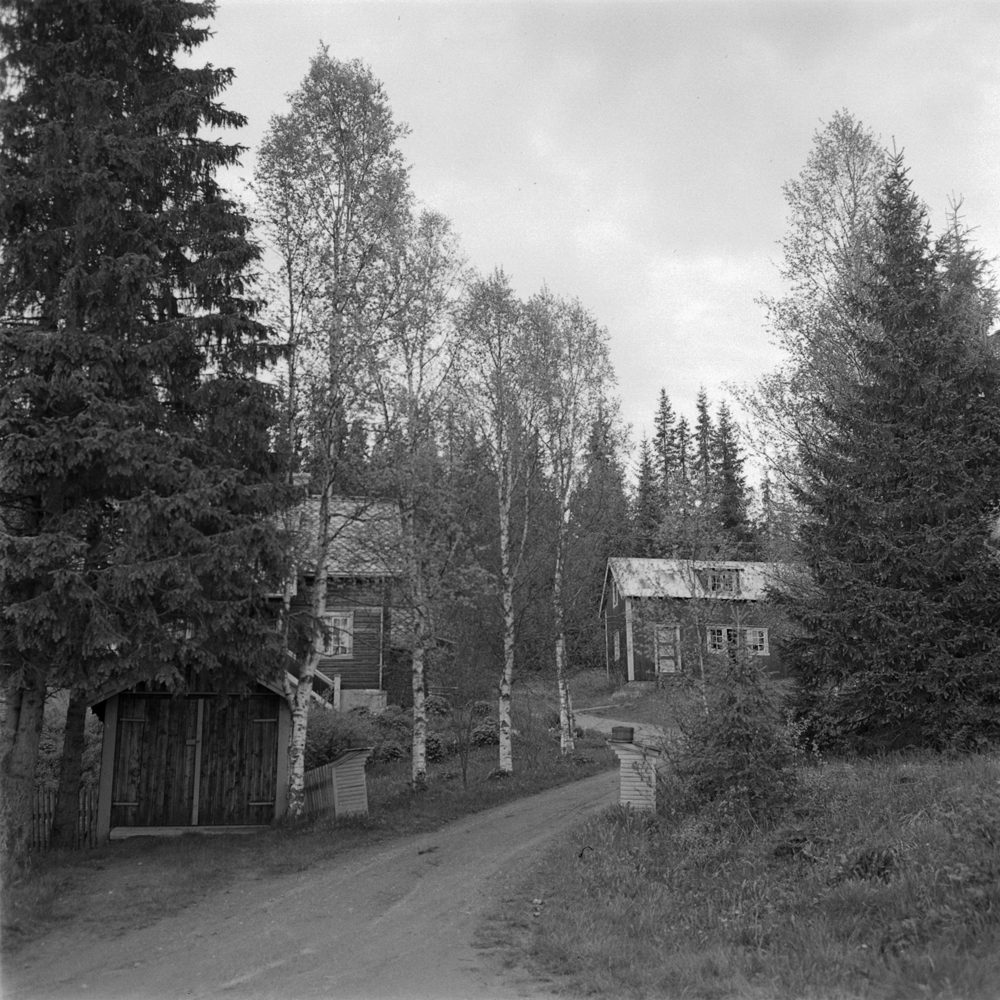 Hattfjelldal. Prestbakken som ligger vis a vis Prestegården i Hattfjelldal
I forbindelse med Hattfjelldal Kommunes 100 års jubileum sommeren 1962.