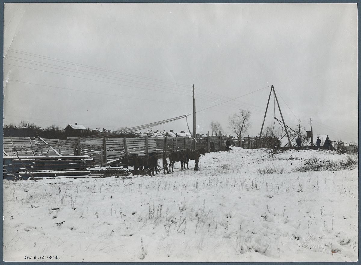 Vinterbild med arbetshästar för uppställning av kraftstolpe.