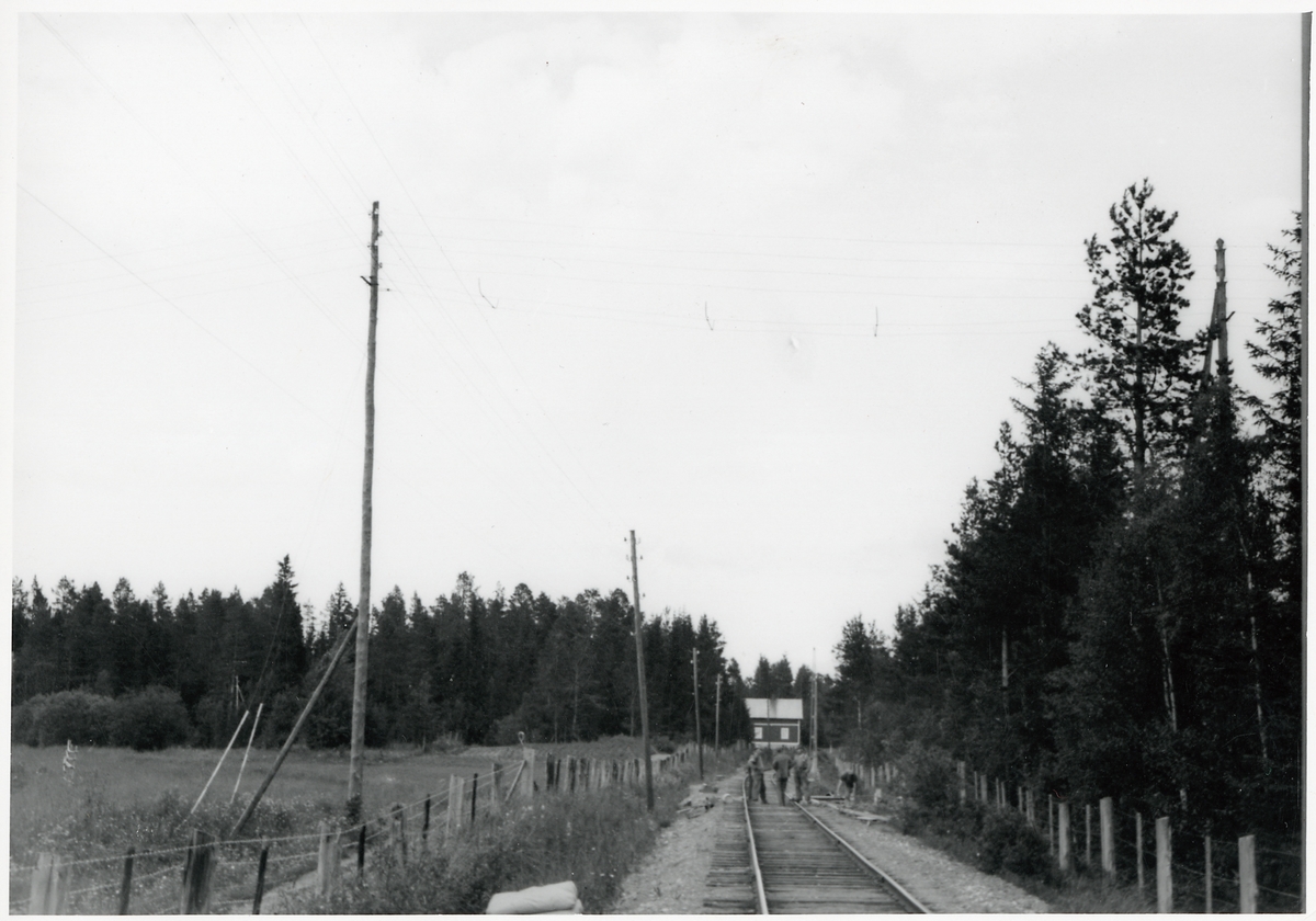 Elektrifieringsarbete på linjen mellan Trångsviken och Mattmar.