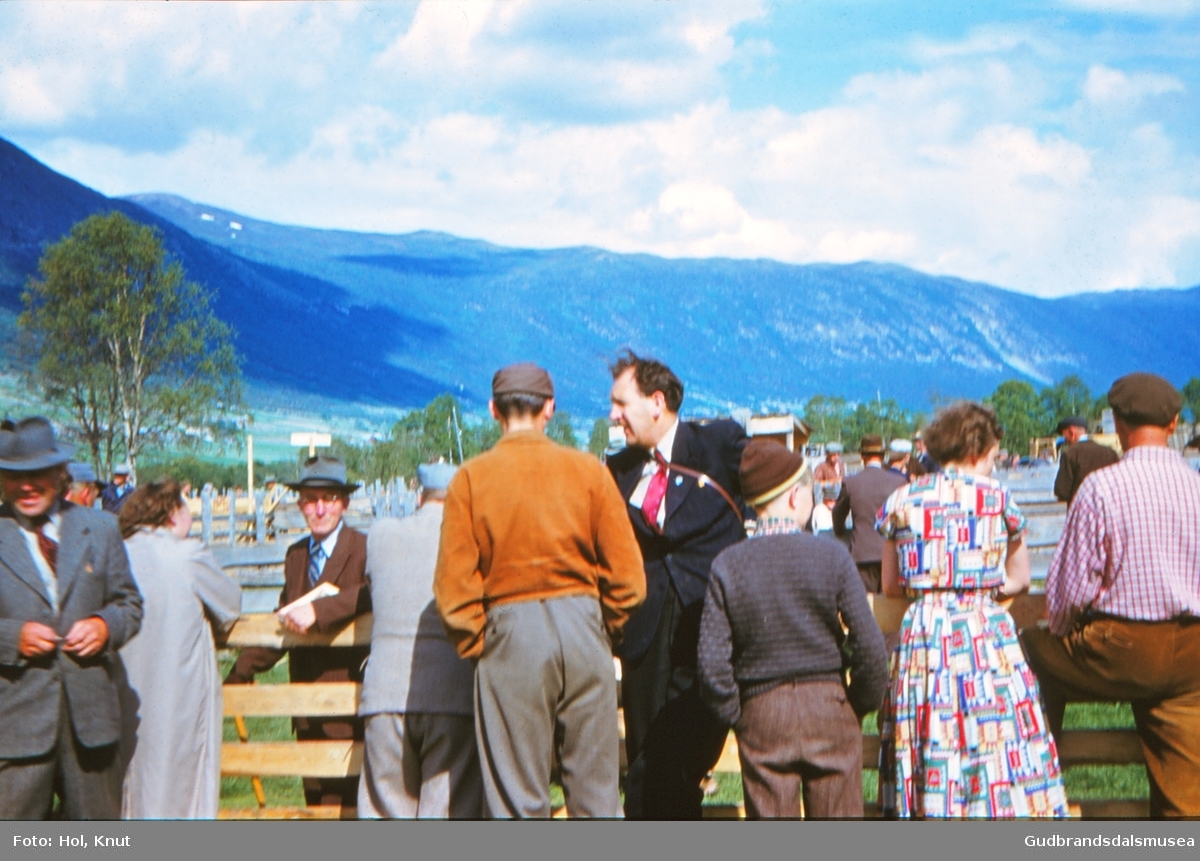 Fesjå på Ånsatdøya 1954.   
T.v. Per Lindsheim (f. 1904), vendt mot fotografen småfedommarane Forsteh og Olav Moen