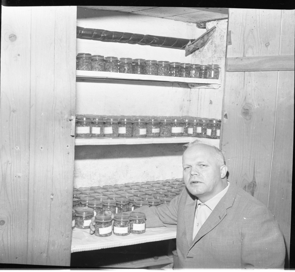 Skräddare Sven-Ivar Johansson sitter vid ett skåp fyllt med drygt 300 glasburkar med konserverad svamp.