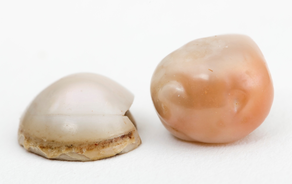 2 perler perler fra elvemusling: Den ene perla er hvit og har en rund form.  Den andre  perla har en hvit, krummende (konkveks), overside og brun tilnærmet plan underside. Den tilnærmet runde perla har en diameter på cirka 8 mm.
Den andre perla med brun underside har en diameter cirka 9,5 mm.