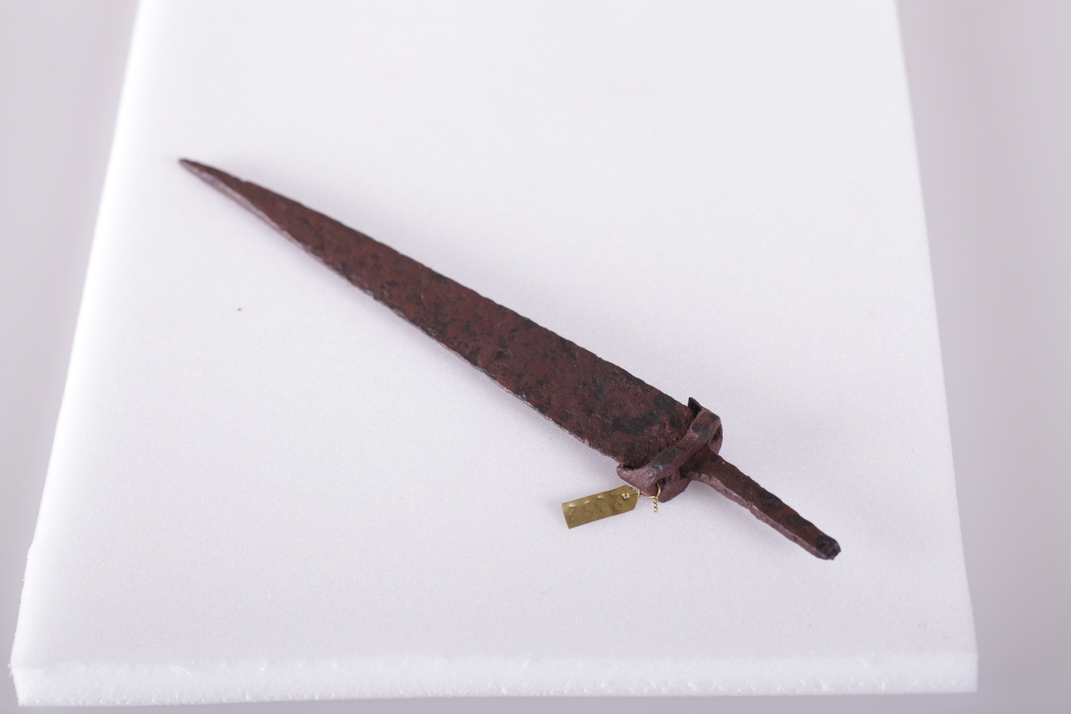 Klinge av dolk fra middelalderen, funnet på Hassel i 1889.