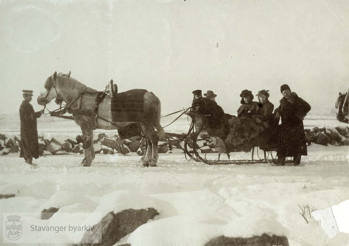 Tur med hest og slede i snøen