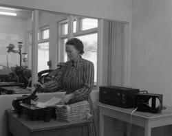 Nordahls Trykkeri på Sortland 1955. Hjørdis Nordahl.