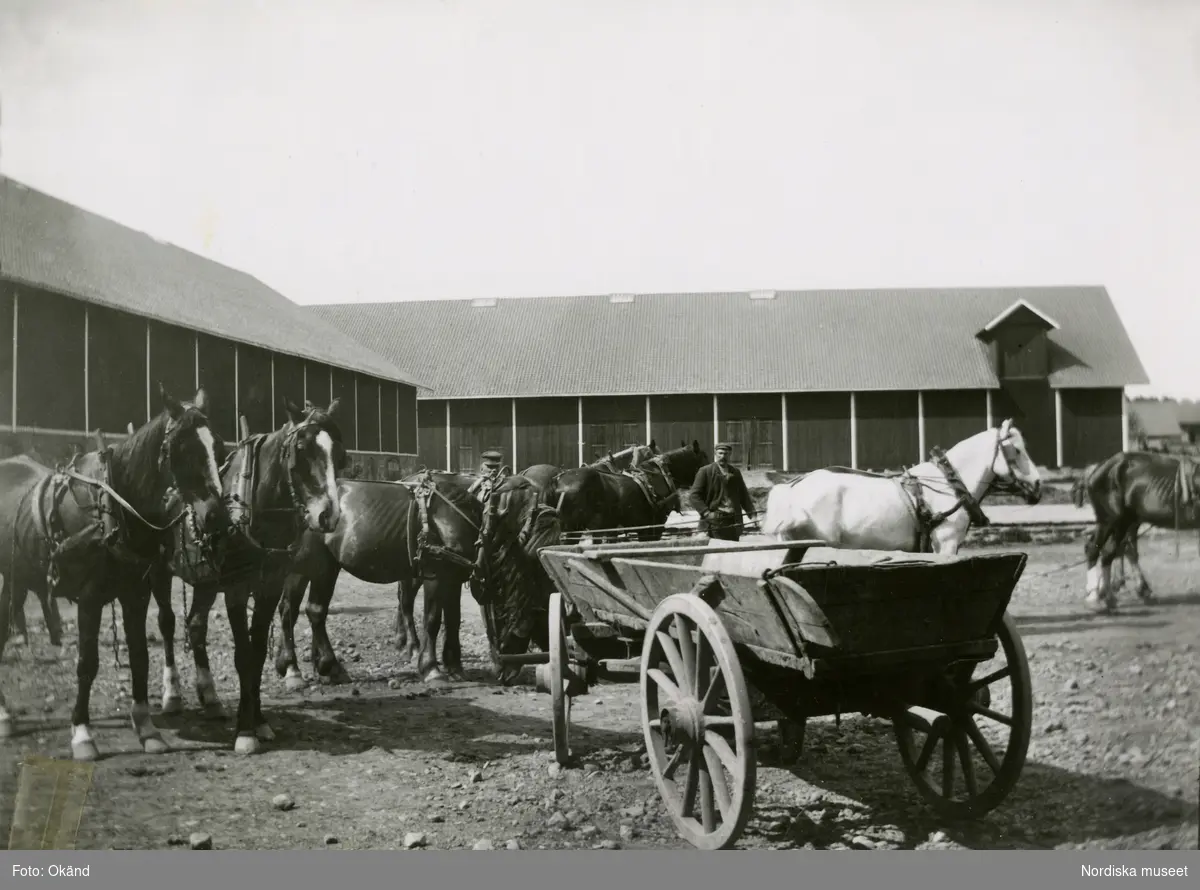 Selade hästar, en vagn och två män framför ladugården på Julita gård.