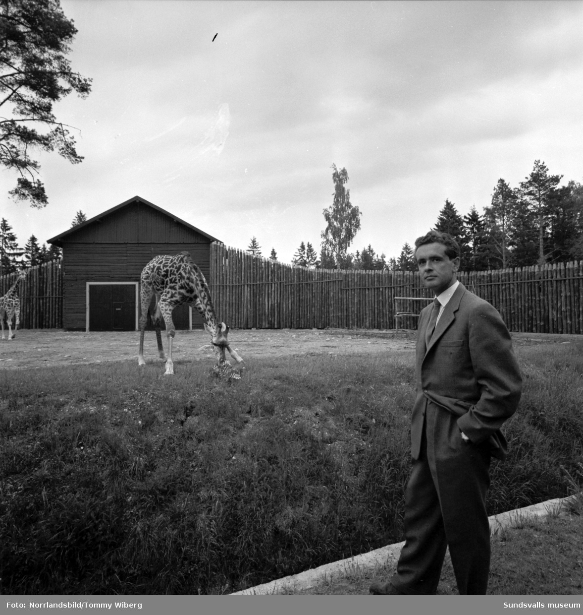 Vinnarna i Dagbladets uppsatstävling 1960 är på klassresa till Furuvik med sina klasskamrater.