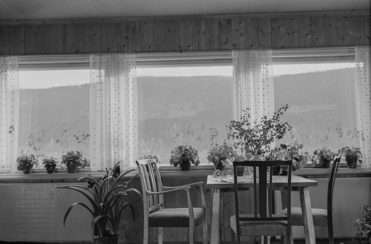Interiørbilde - bord med stoler og blomster i vinduet
