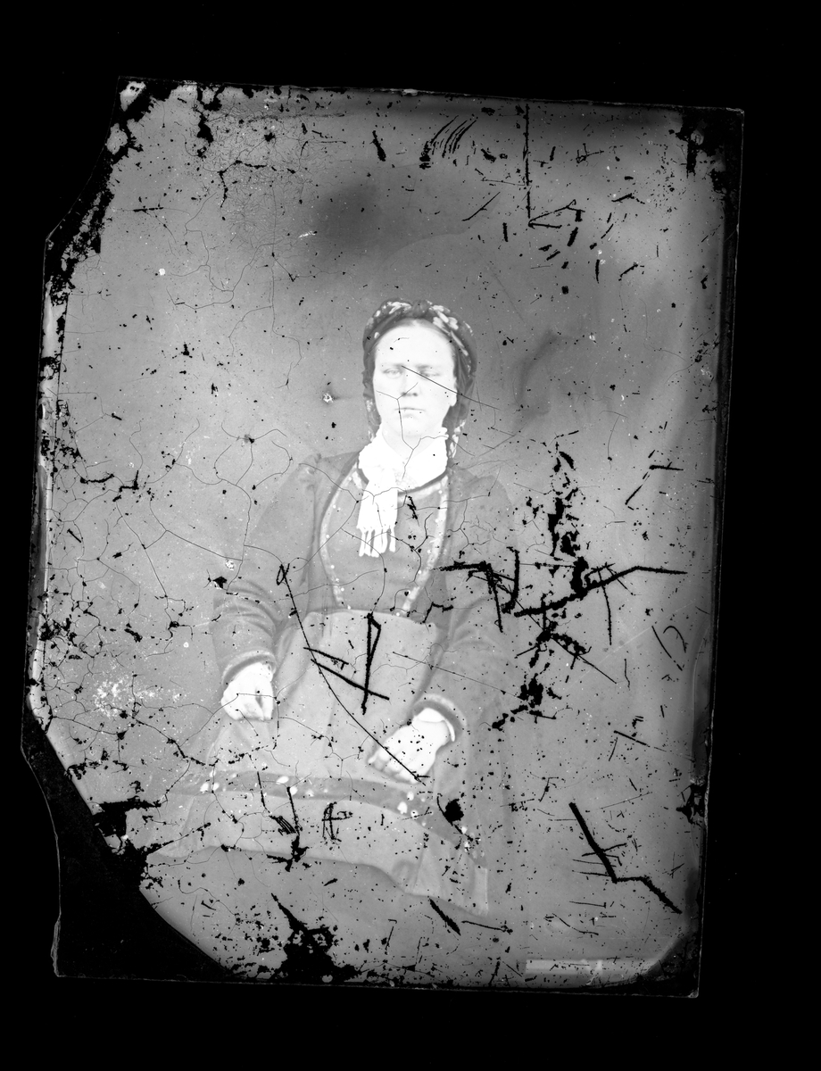 Fotosamling etter fotograf Knut Aslaksen Berdal. f. 1829 Einlaugdalen Vinje, d. 21.01.1895. Portrett kvinne i folkedrakt
