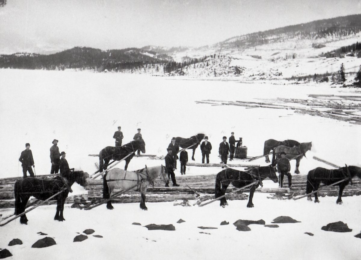 Dugnad med tømmerkjøring, ved Trøsvik, Vestre Slidre. Ca 1905.