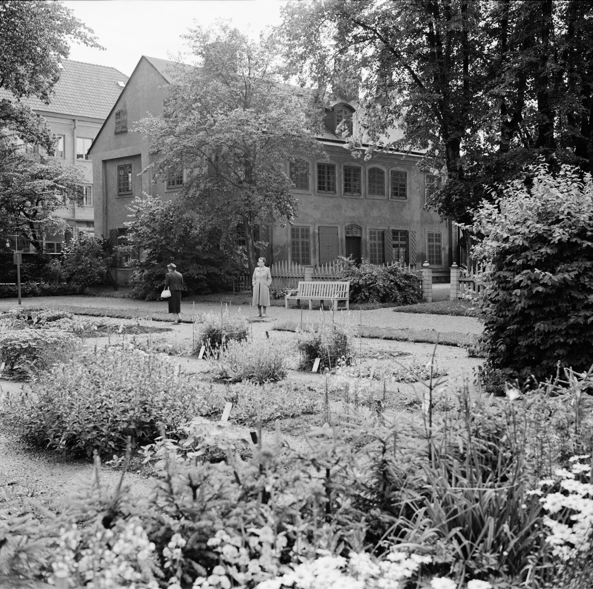 Linnéträdgården med Linnémuseet, Uppsala 1960