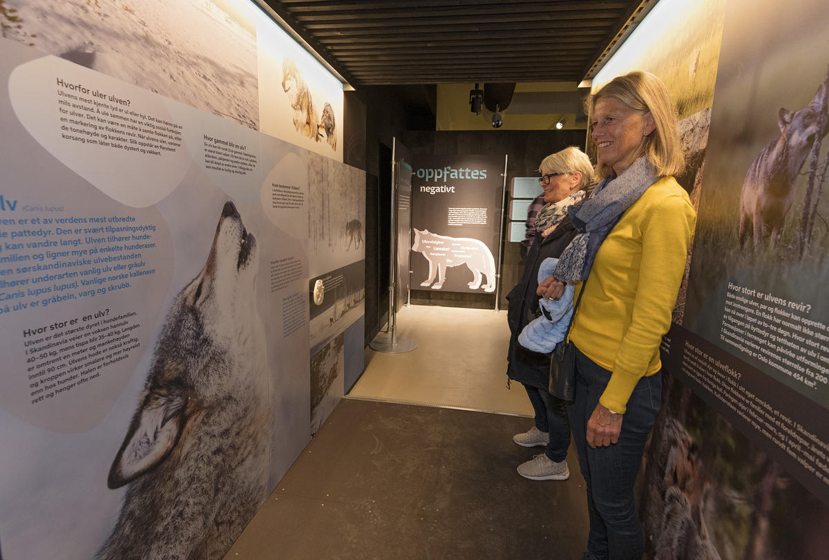 To damer under åpningen av utstillingen Ulvetider på Norsk skogmuseum.
