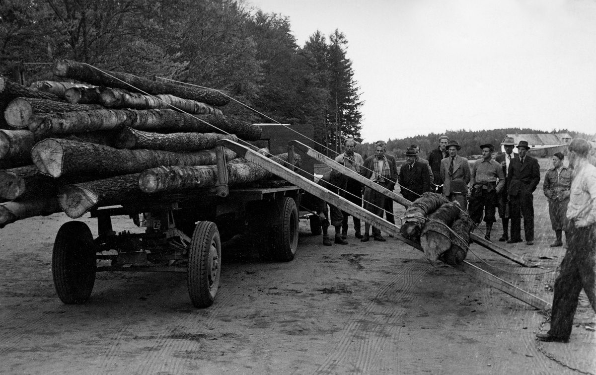 Lesseapparat, konstruert av Ludvik Isachsen (1881-1959) i Larvik, vises for skogbruksstudenter fra Norges landbrukshøgskole høsten 1947.  Vi ser en lastebil som er forlenget med en enkel tilhenger, en hjulgang med en overliggende tverrbanke og sidestenger.  Tømmeret, i dette tilfellet antakelig tunge bøkestokker, heises opp på lasteplanet og tilhengeren ved hjelp av vaiere som drar stokkene oppover på to stenger som er lagt på skrå fra lasset mot tømmerlunna ved vegkanten (til høyre for bildekanten).  Et interessert publikum følger prosessen fra posisjoner ved siden av lastebilens førerhus.  Studentene var på en ekskursjon der firmaet Treschow-Fritzøe var vertskap. 

Ludvik Isachsen skal ha vært den første som bygde en vinsj for lessing av tømmer på lastebil.  Prototypen var ferdig i 1939.  Den finnes i dag på Norsk Skogmuseum, hvor den er registrert under signaturen SJF. 06748.