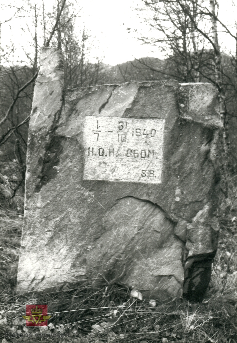 Minnestein i vegskråning på vegen over Hardangervidda, 4 km vest for Geilo. Påskrift: "1/7 - 31/10 1940, HOH 860 M, SB". Steinen er trolig satt opp privat, kanskje av en ingeniør som var engasjert med vegutbedring. Det  er antatt at steinen er ment som et krigsminne fra 1940.