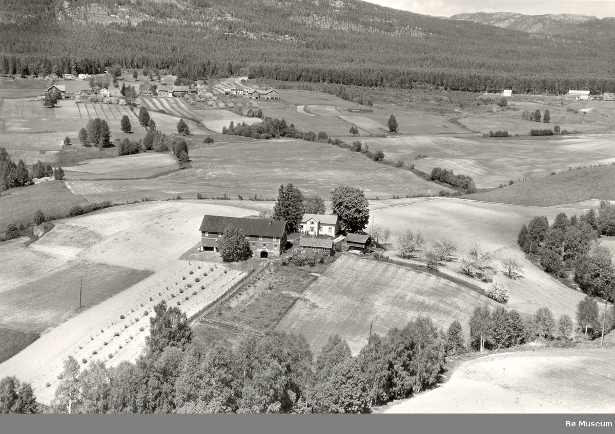 Flyfoto av Hellekås 13. juni 1958