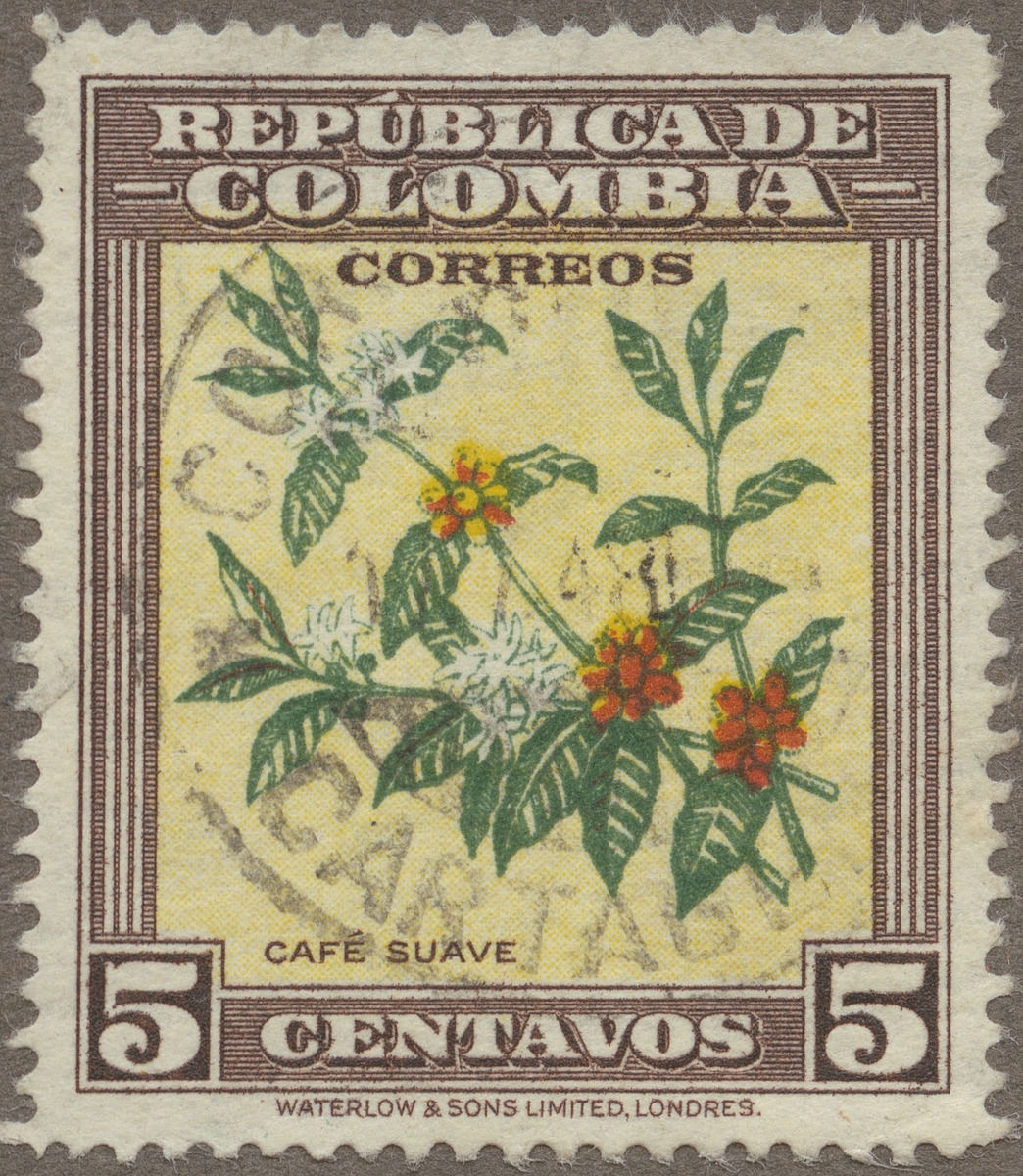 Frimärke ur Gösta Bodmans filatelistiska motivsamling, påbörjad 1950.
Frimärke från Colombia, 1947. Motiv av kaffebuskens gren med blommor och frukt.