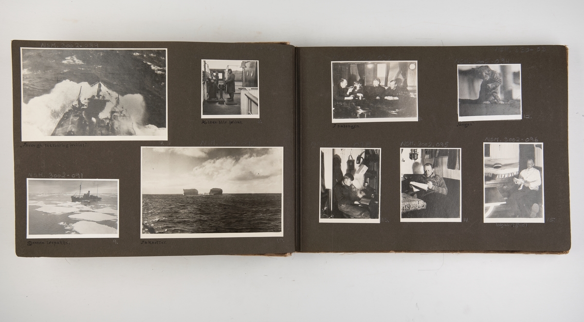 Fotoalbum med fotografier fra hvalfangst i Sydishavet med hvalfangstskipet 'Thor I'