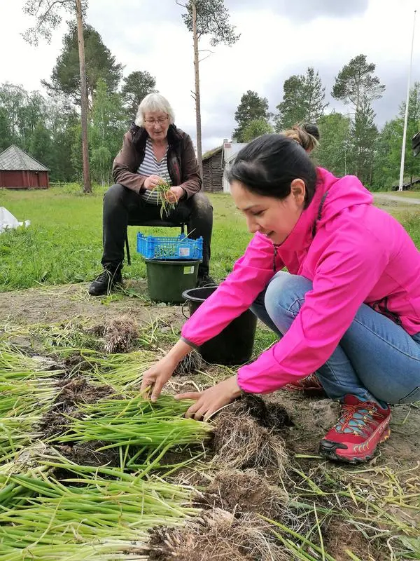 grønnsakdyrking kvinner