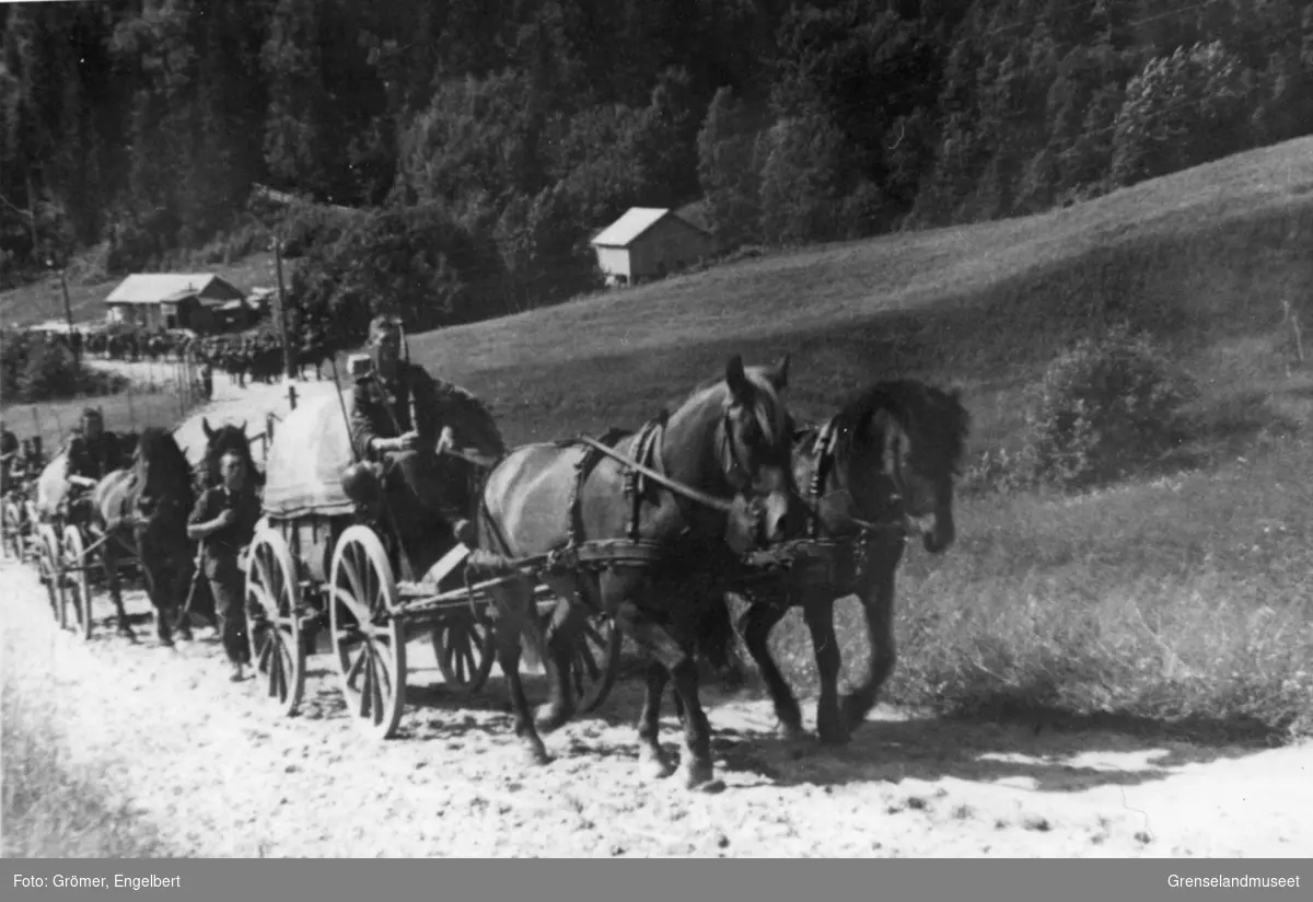 Transport med hest og vogn. 