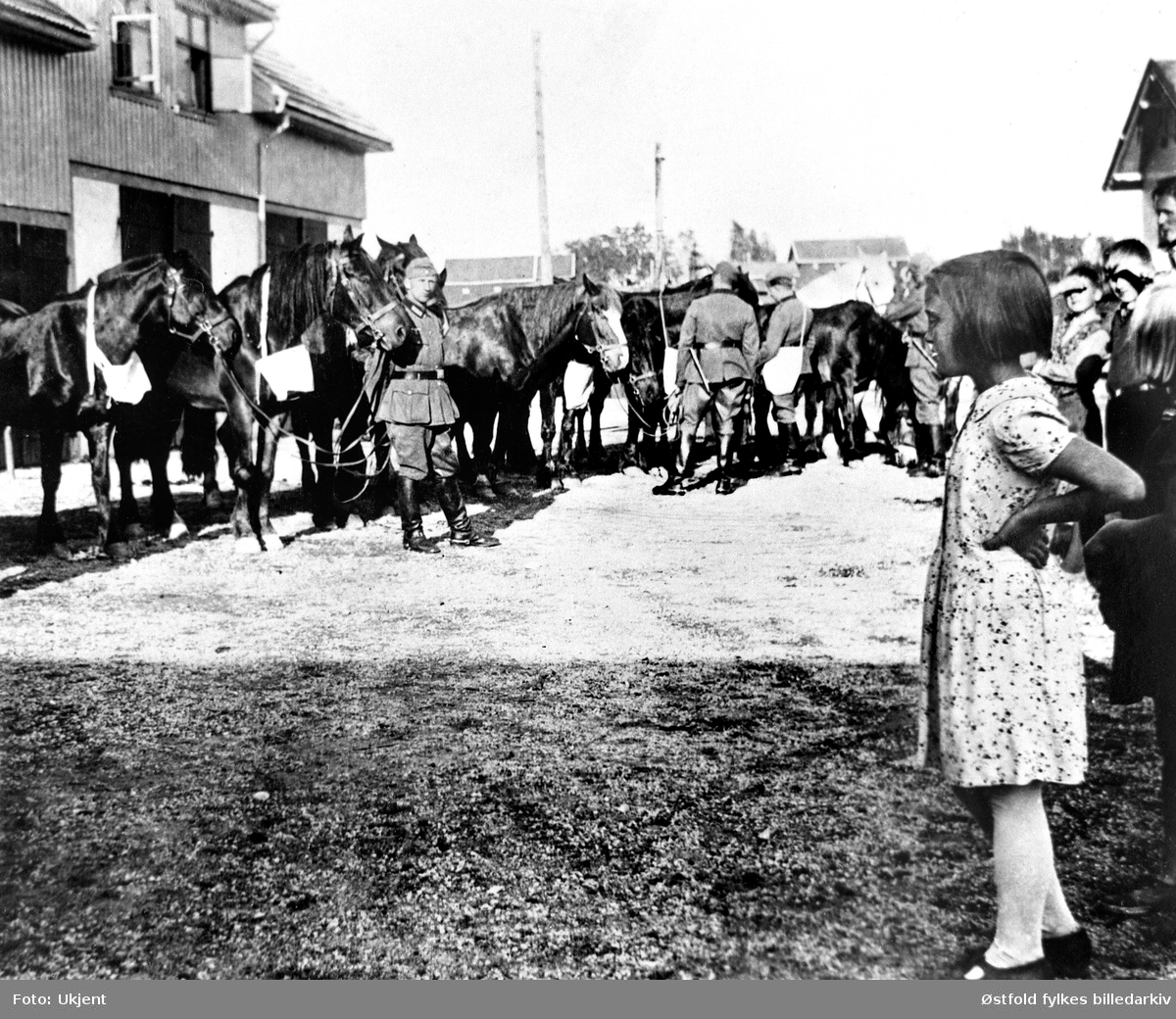 Innlevering av hester til tyske Wehrmacht på Myra i Skiptvet 1942-43. Hagen måtte levere hesten "Anton".
