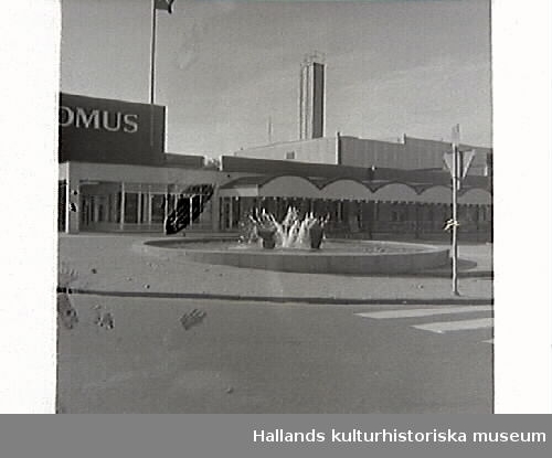 Torellbrunnen vid varuhuset Domus vid Västra Vallgatan i Varberg. Edvin Öhrström från Halmstad är konstnären bakom verket som invides 1970.
Bild 1 fotograferad mot väster. Bild 2. Engelska parken i bakgrunden. Bild 3 med Domus i bakgrunden. Bild 4 fotograferad mot öster, med Brunnsparken och kyrkan i bakgrunden.

Bilder från tidningsartikel om Torell-monumentet, publicerad i Hallands Nyheter, 1970-09-30.