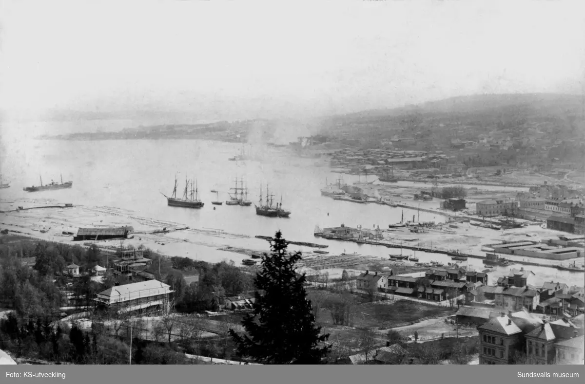 Sundsvalls hamninlopp, panorama före branden 1888.
