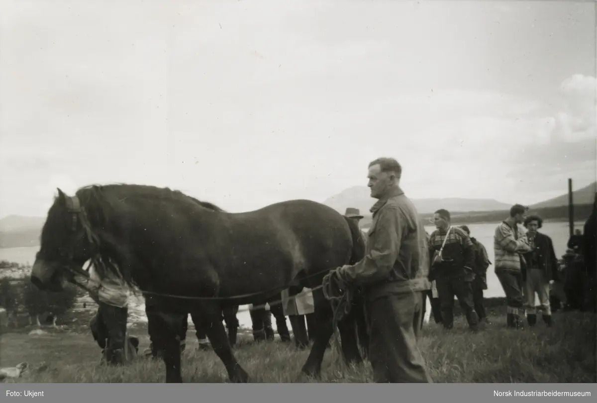 Mann og hest med hodelag. I bakgrunn forsamling med mennesker og innsjøen Møsvatn