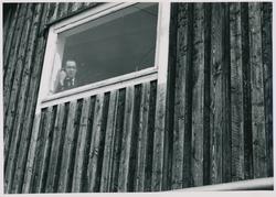 Person i vindu i kontorbygningen til A/S Mercur i Harstad.