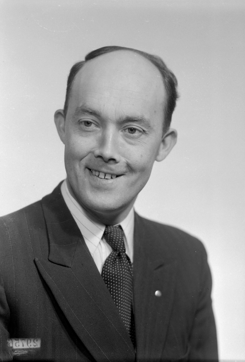 Arne J. Johansen