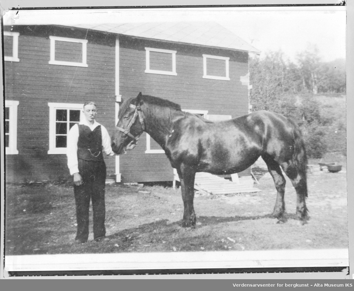 Mann med hest utfor fjøs på Bjørnstad gård.