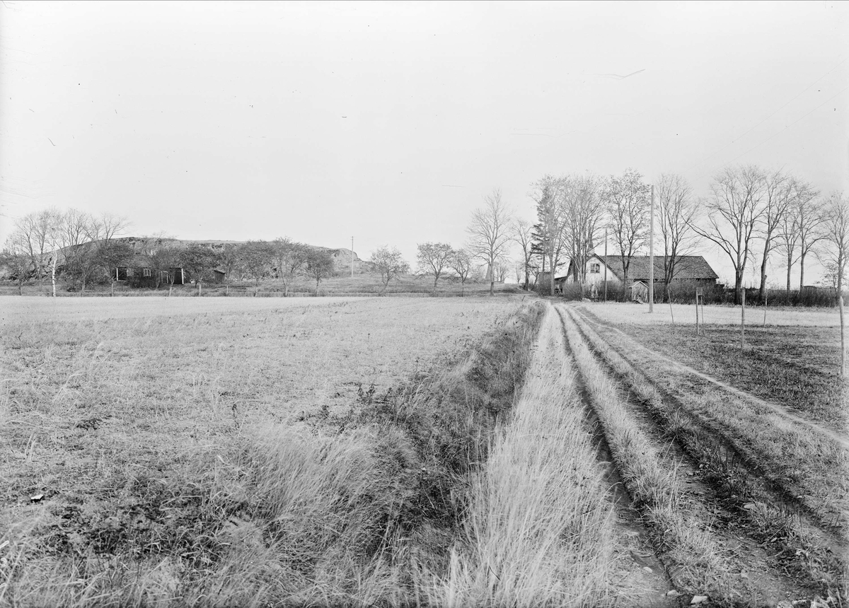 Gårdsmiljö, Johannelund 4, Sala backe, Vaksala socken, Uppland 1947