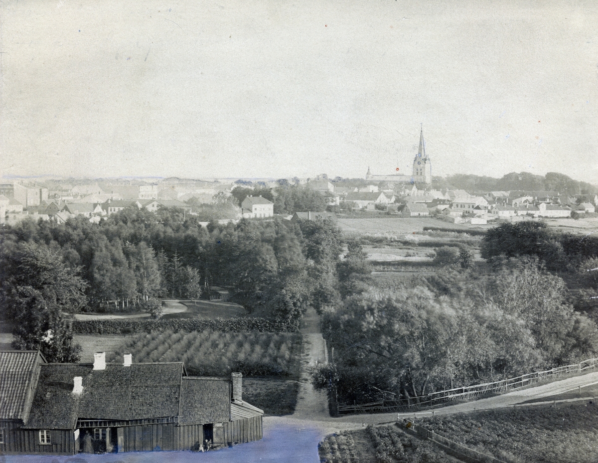 Vy av Halmstad taget från Galgberget i slutet av 1890-talet.