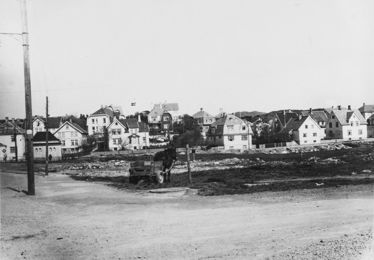 Flotmyr - Grønhaug - sett mot øst, ca. 1950.