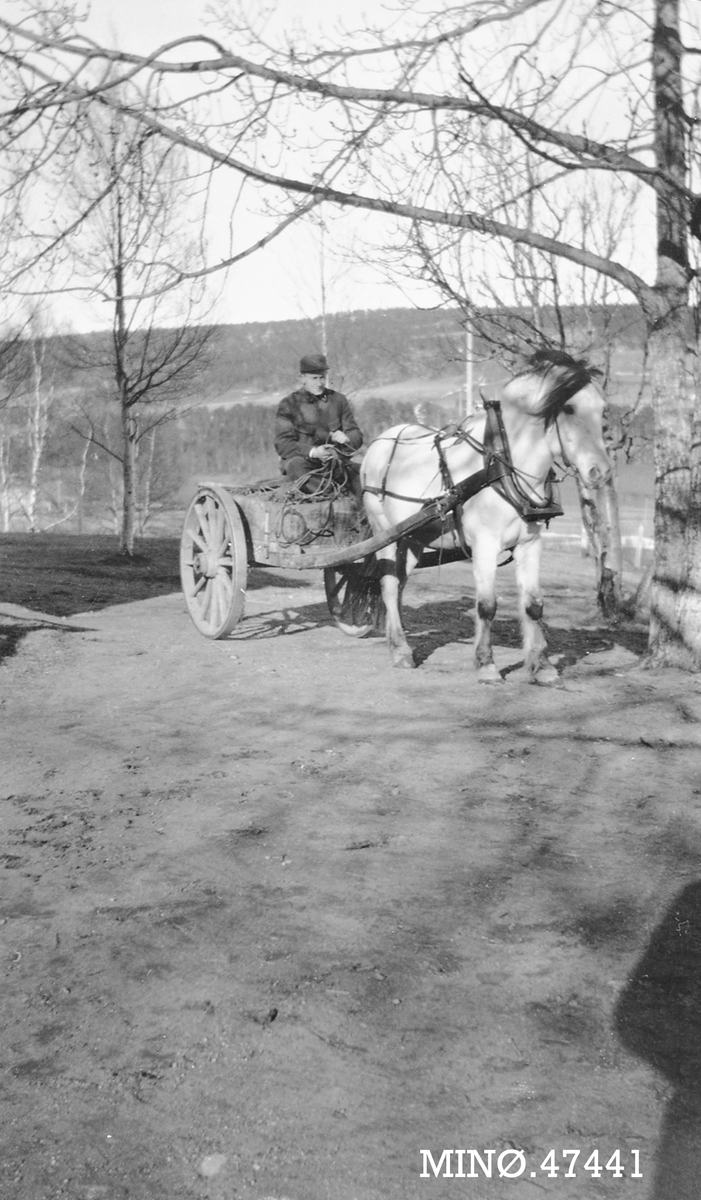 Mann med hest og vogn