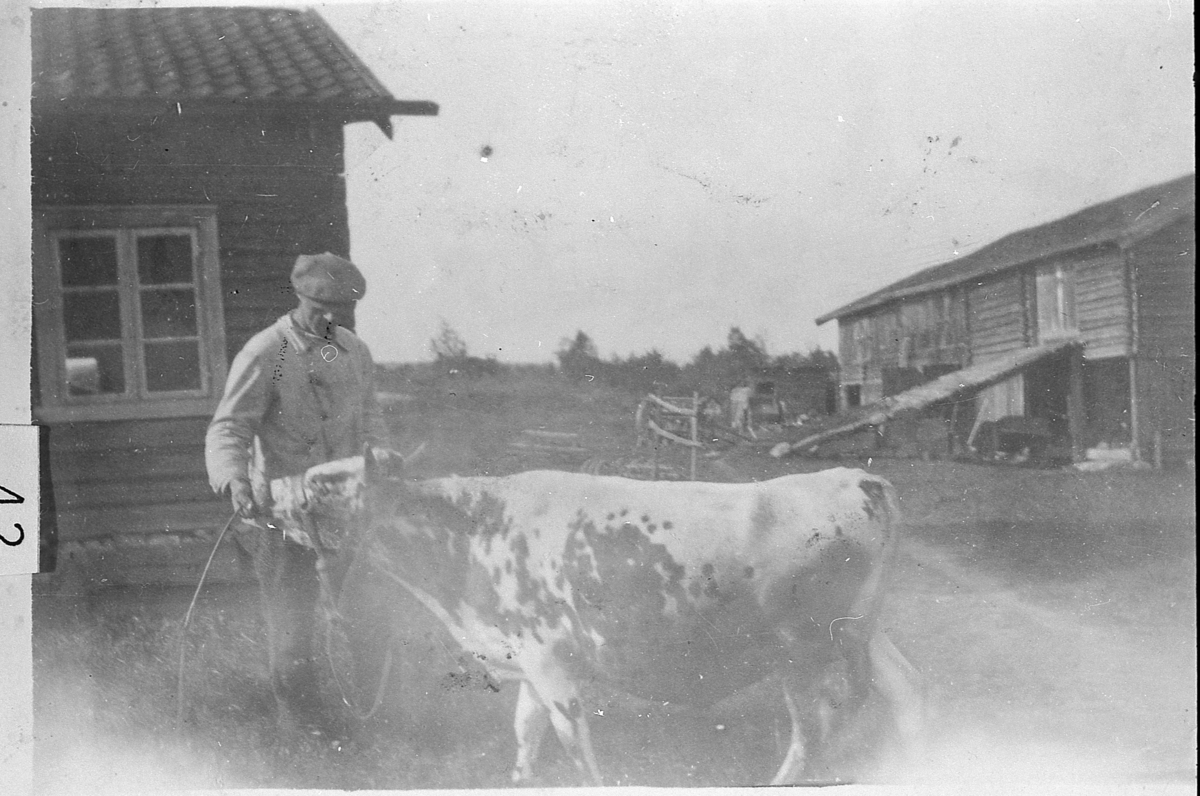 Gamletunet på Eidal, Øvre Sigdal. Kittil Eidal med dropplete telemarksku. Ca. 1925.