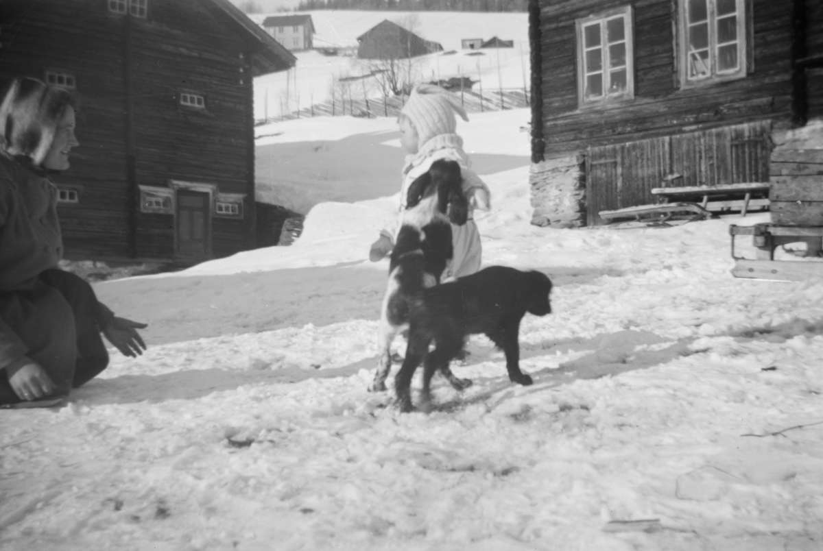 Kvinne, lite barn og hund ute på tunet, Myklebø, Vestre Gausdal. Vinter