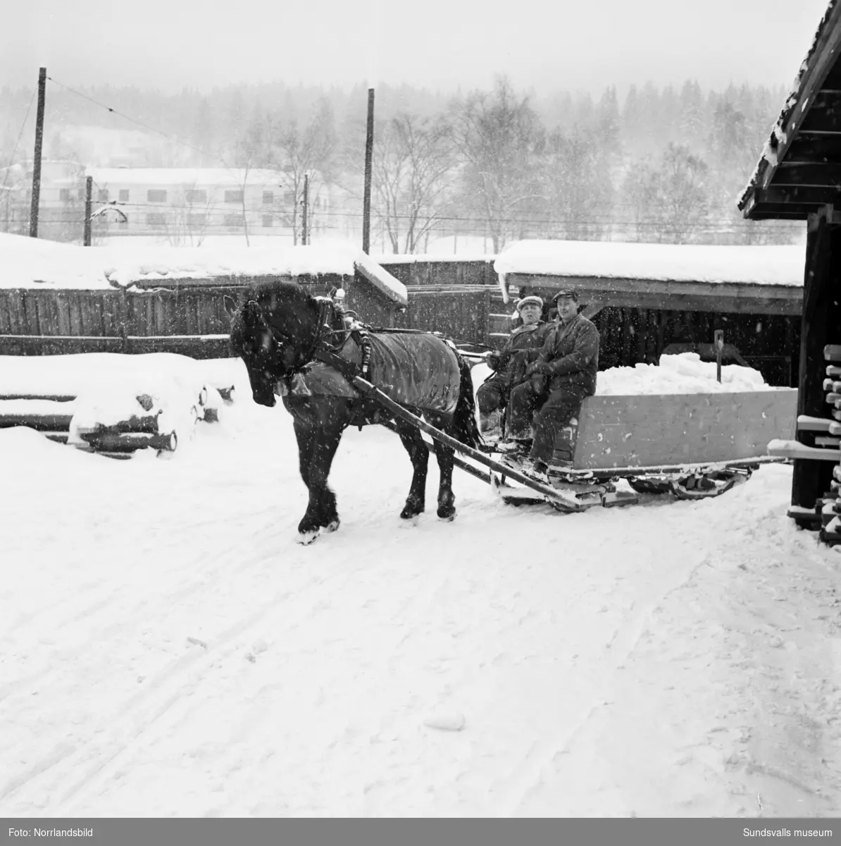Snöröjning med häst vid gatukontorets förråd vid Norra kajen, Heffnersvägen.