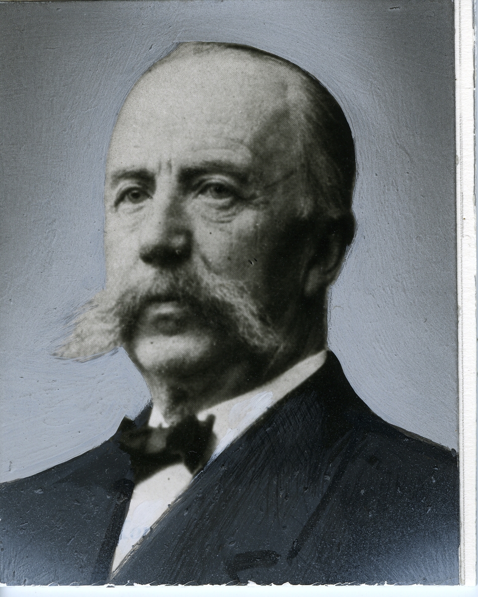 Peter Julius Brecke (1844-1914), grosserer, Sagbrukseier, konsul.

Foto: L. Szacinski