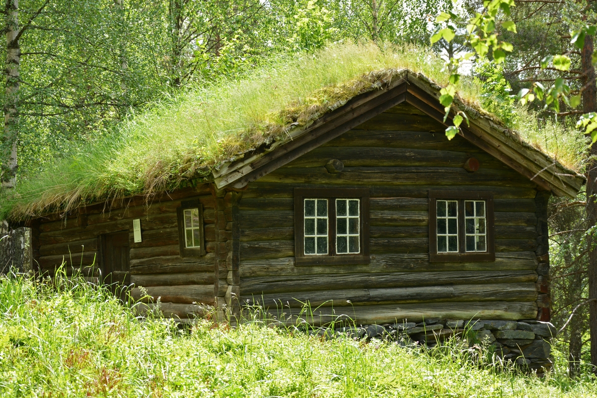 Stove av "den eldste hustype som finst i Valdres".