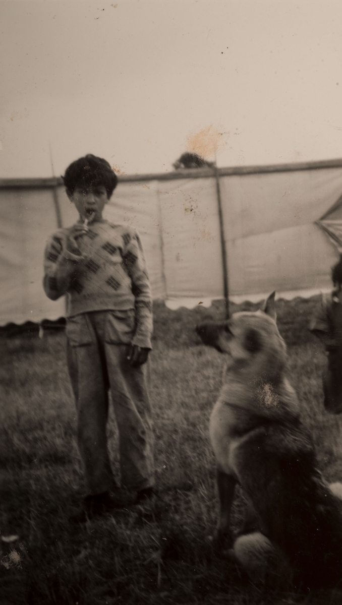 En romsk pojke syns bredvid en hund. Fotografiet är taget 23 juli 1950 i Sandviken. I bakgrunden syns en uppspänd tältduk, och ytterligare ett yngre barn skymtar i kanten.