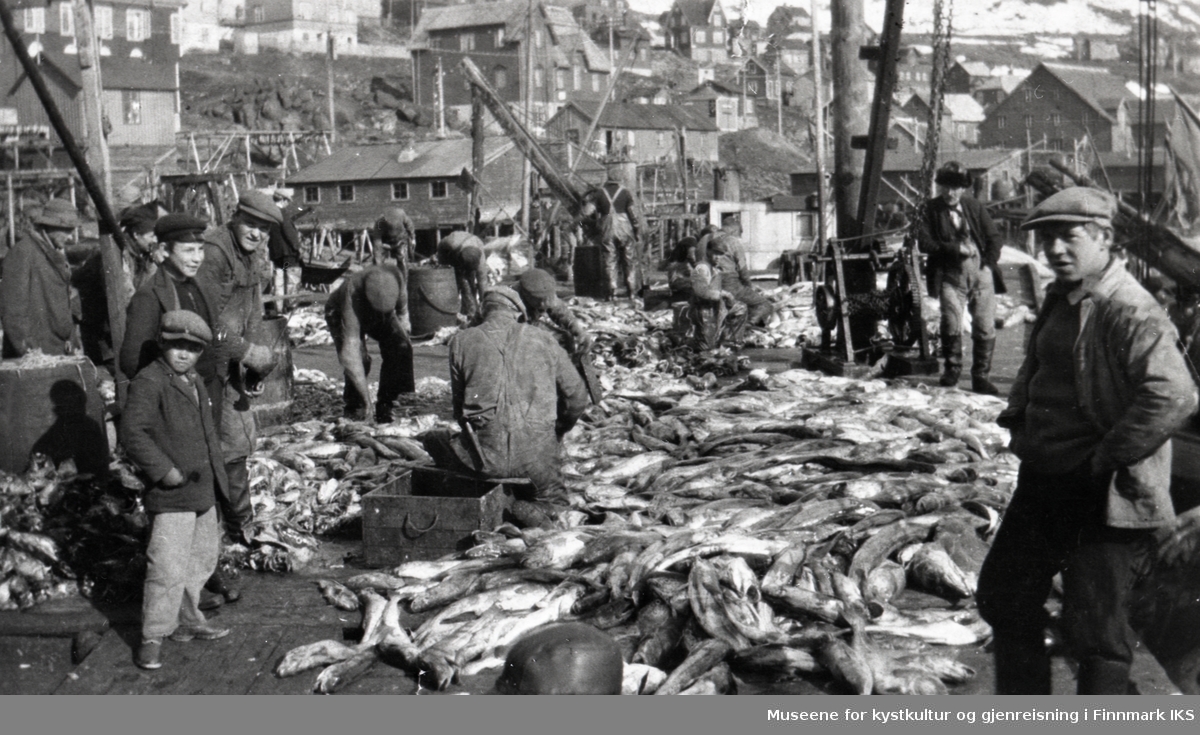 Honningsvåg. Vårtorskefiske. Mye fisk og arbeidsfolk på kaia. Ca. 1930.