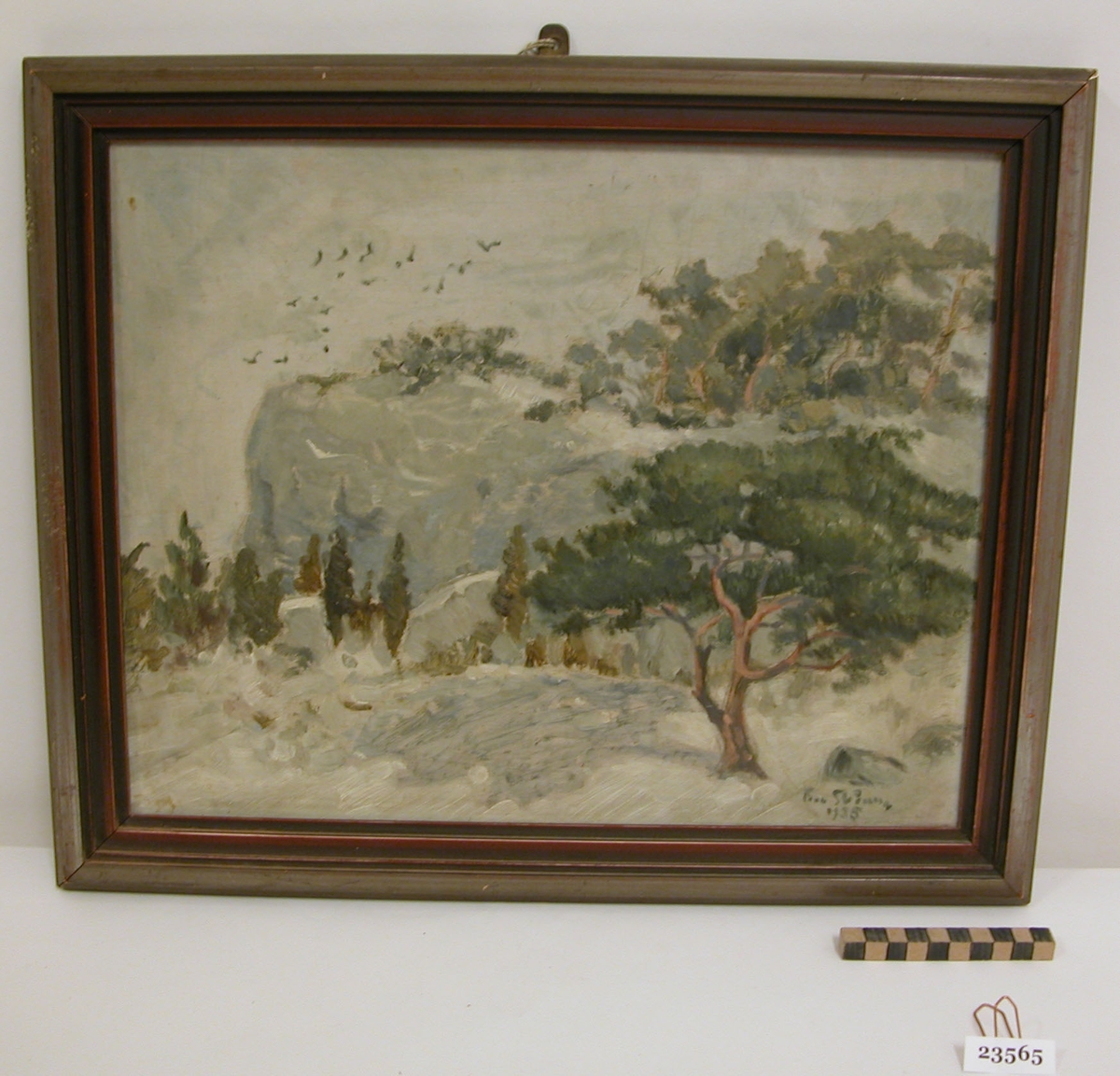 Målning i grå, brun, gröna toner. I bakgrunden till vänster, ett berg med fåglar flygande kring, i förgrunden tallar och enar.
Nere till höger signatur: F.... Skå..... 1935.

På baksidan påskrift: Gotland SSS 226 Kråkberget