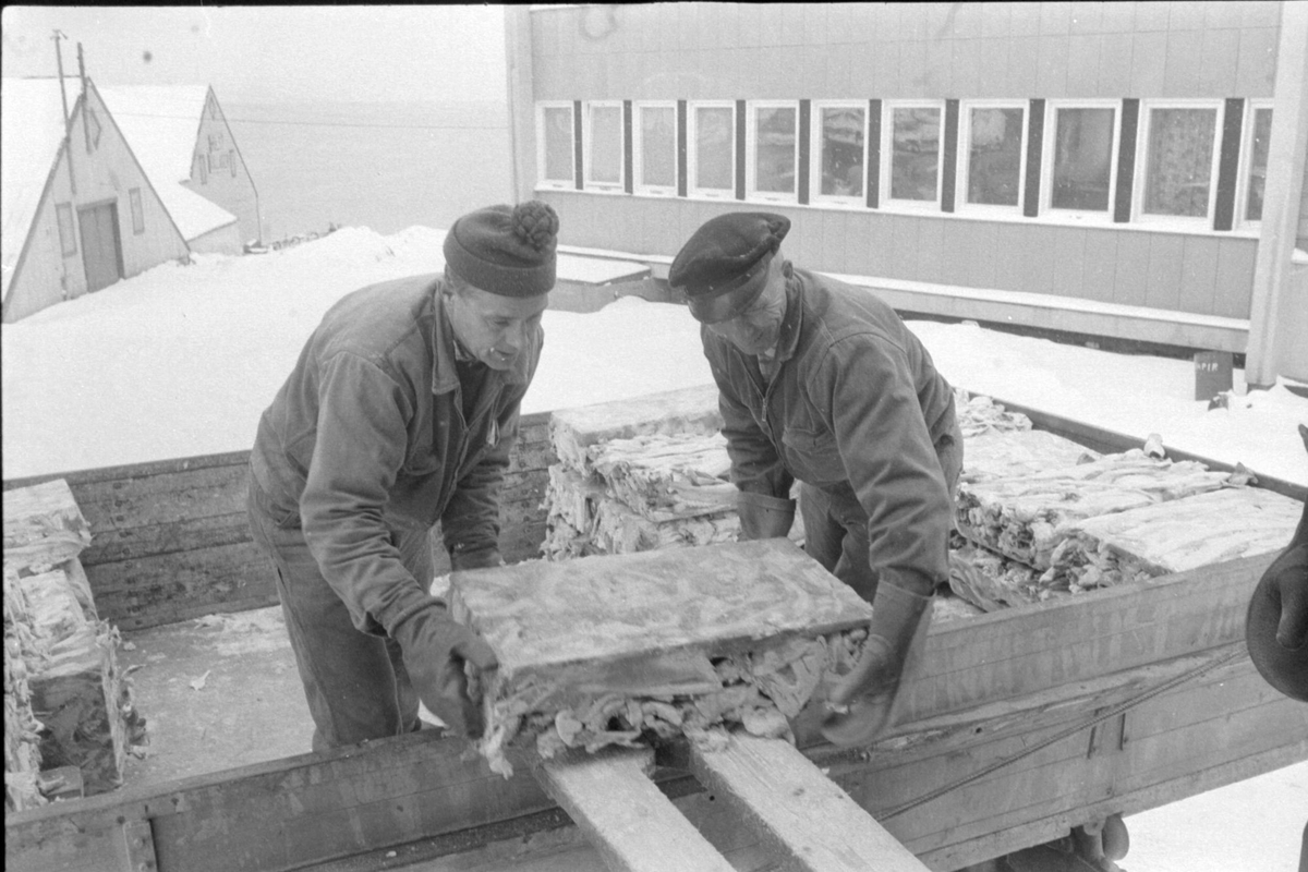 Lyder Aune og Herlof Jørgensen laster minkfôr på en lastebil hos Kr. Holst.
