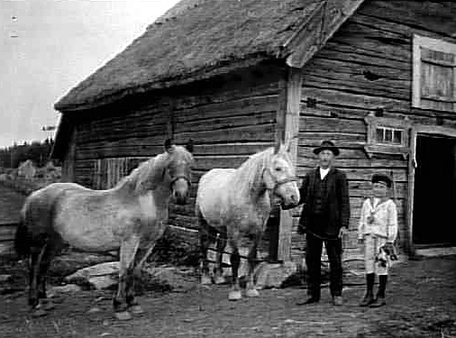 En man och en pojke med två hästar utanför stallet.
Till vänster: David Fransson, Granelund. 
Bilden retuscherad med gult, vilket förändrats i datorn.