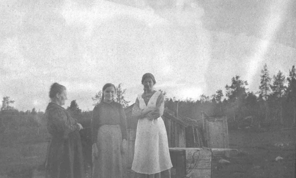 Gruppebilde med tre kvinner foran et uthus/løe på Holmfoss. 
I midten med fletter, Margit Hoel, født 1904, til venstre Hulda Petrine Ryeng, i profil, født Harjo i 1887. 
Hulda Petrine ble senere svigermor til Margits tvillingbror. Damen til høyre er ukjent. 

Fotografen var Sigurd Georg Blix (født 1896 i Breivik i Nordfold, død 1986). Han vokste opp i Dønnes. Han tjenestegjorde som nøytralitetsvakt fra 1918-1919 ved garnisonskompaniet i Sør-Varanger. Sigurd Blix var utdannet lærer og arbeidet hele sitt yrkesaktive liv i Bø i Vesterålen. Han tok en del bilder i både Bø og Sør-Varanger.



