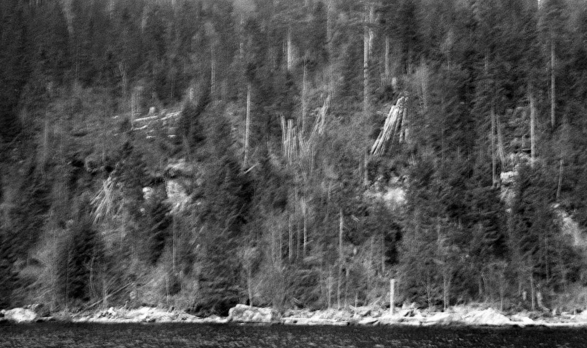 Bergfullt strandparti med tømmer ved Rangklløvhammeren på vestsida av Storsjøen i Rendalen.  Fotografiet er tatt fra båt våren 1946.  Det viser et bratt strandparti med en del oppstikkende berg, og med glissen bar og bjørkeskog.  Innimellom trærne ses en del tømmerstokker som ligger i bratta ned mot stranda, antakelig spor etter forsøk på å renne virket ned mot sjøen på snøføre foregående vinter. 