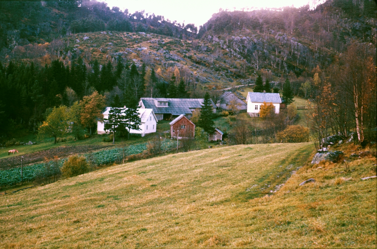 Gården Vormeland i Jørpeland
