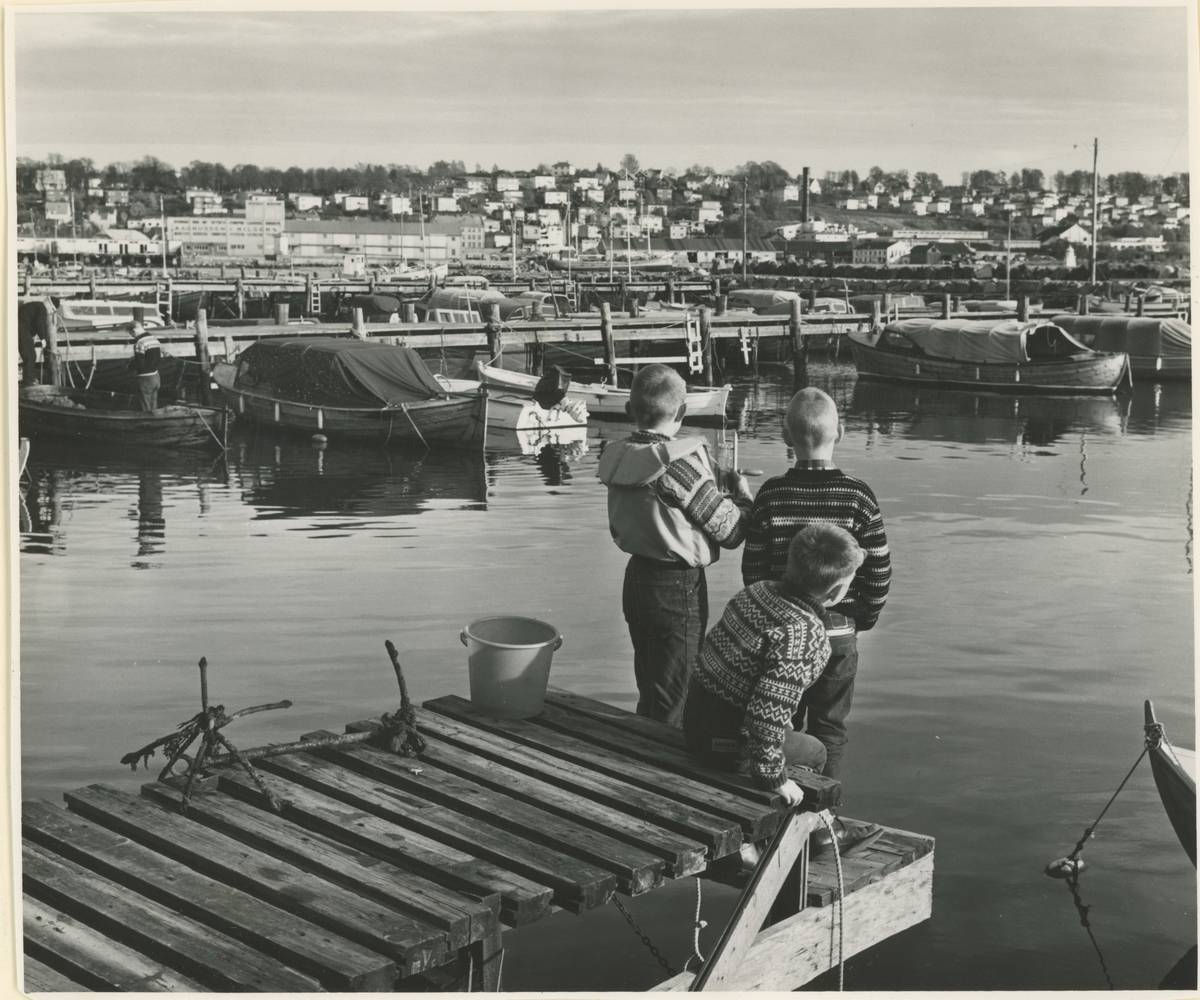 Fiske i Fiske båthavn, ca. 1960.