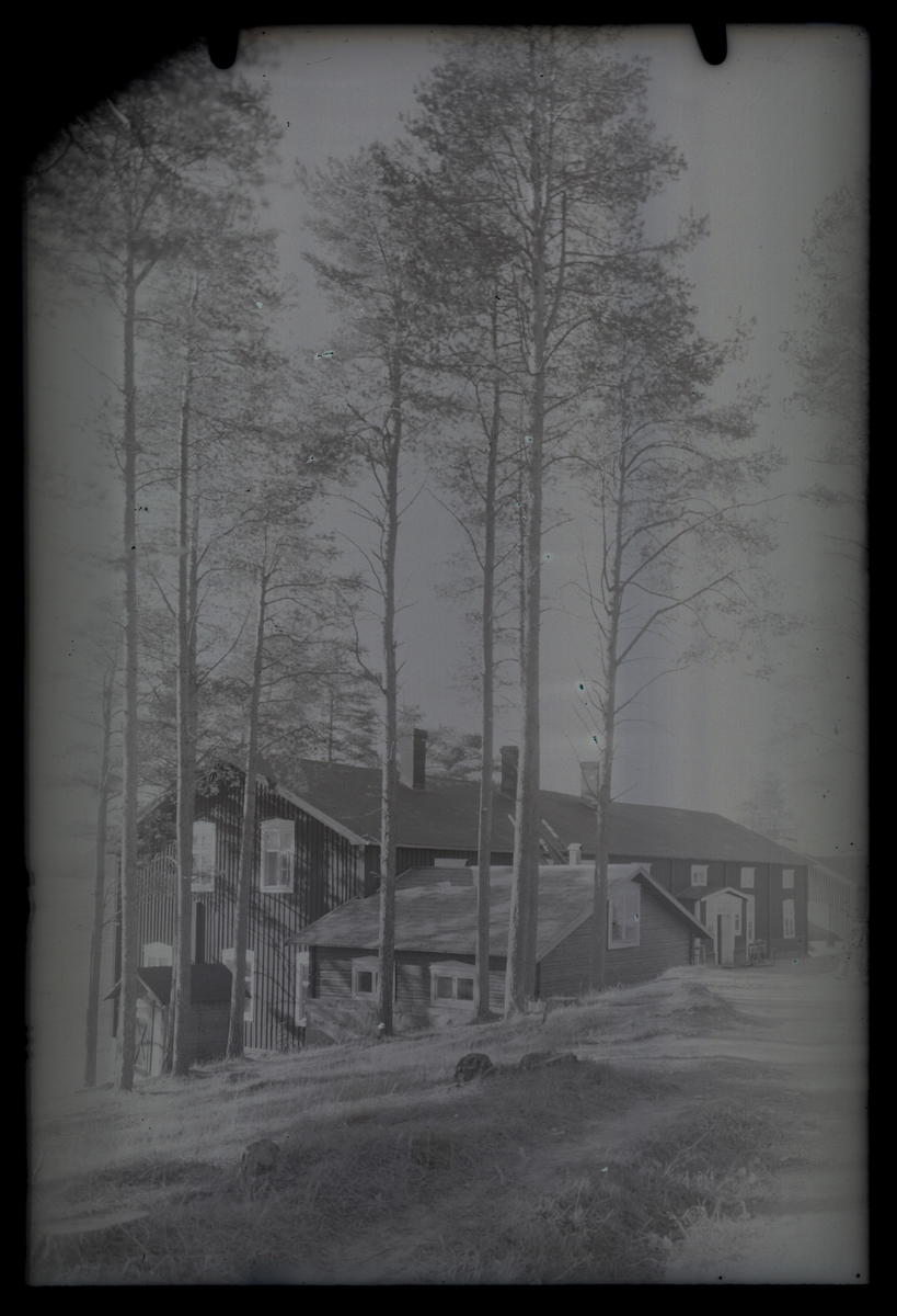 Industribyggnad? i skogsmiljö, ca 1910.