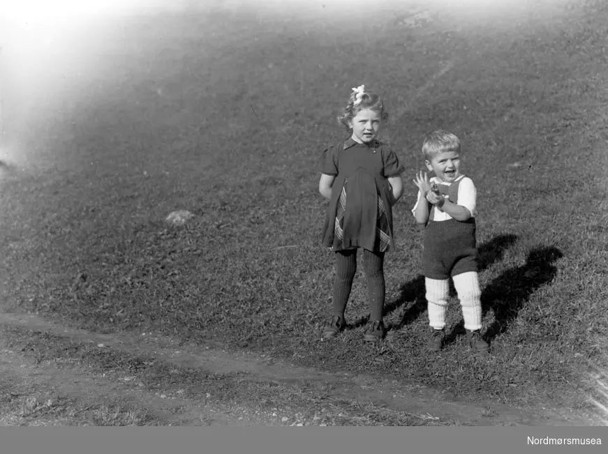 Snødekte trær. Ukjent hvor, men kan muligens være fra Sunndal kommune. Datering er ikke kjent, men kan muligens være fra tiden omkring 1930 til 1960. Fra Nordmøre museums fotosamlinger.

